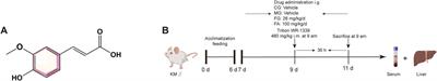 Metabolomics and network pharmacology reveal partial insights into the hypolipidemic mechanisms of ferulic acid in a dyslipidemia mouse model